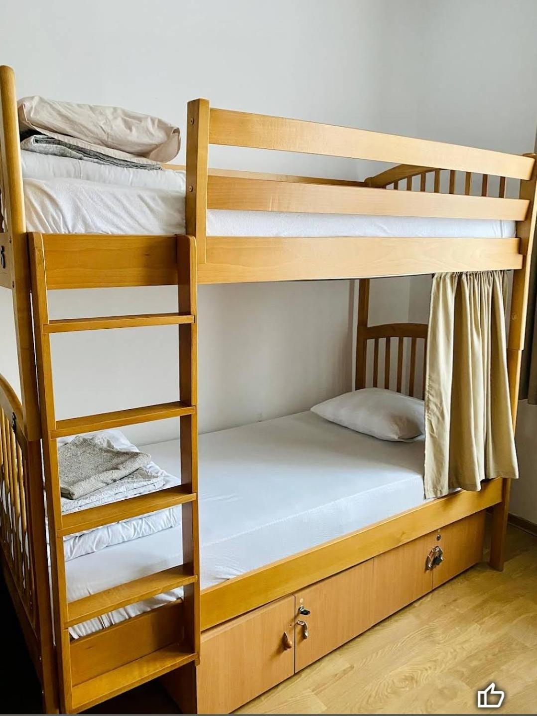 Hostel Andrei ヤシ エクステリア 写真